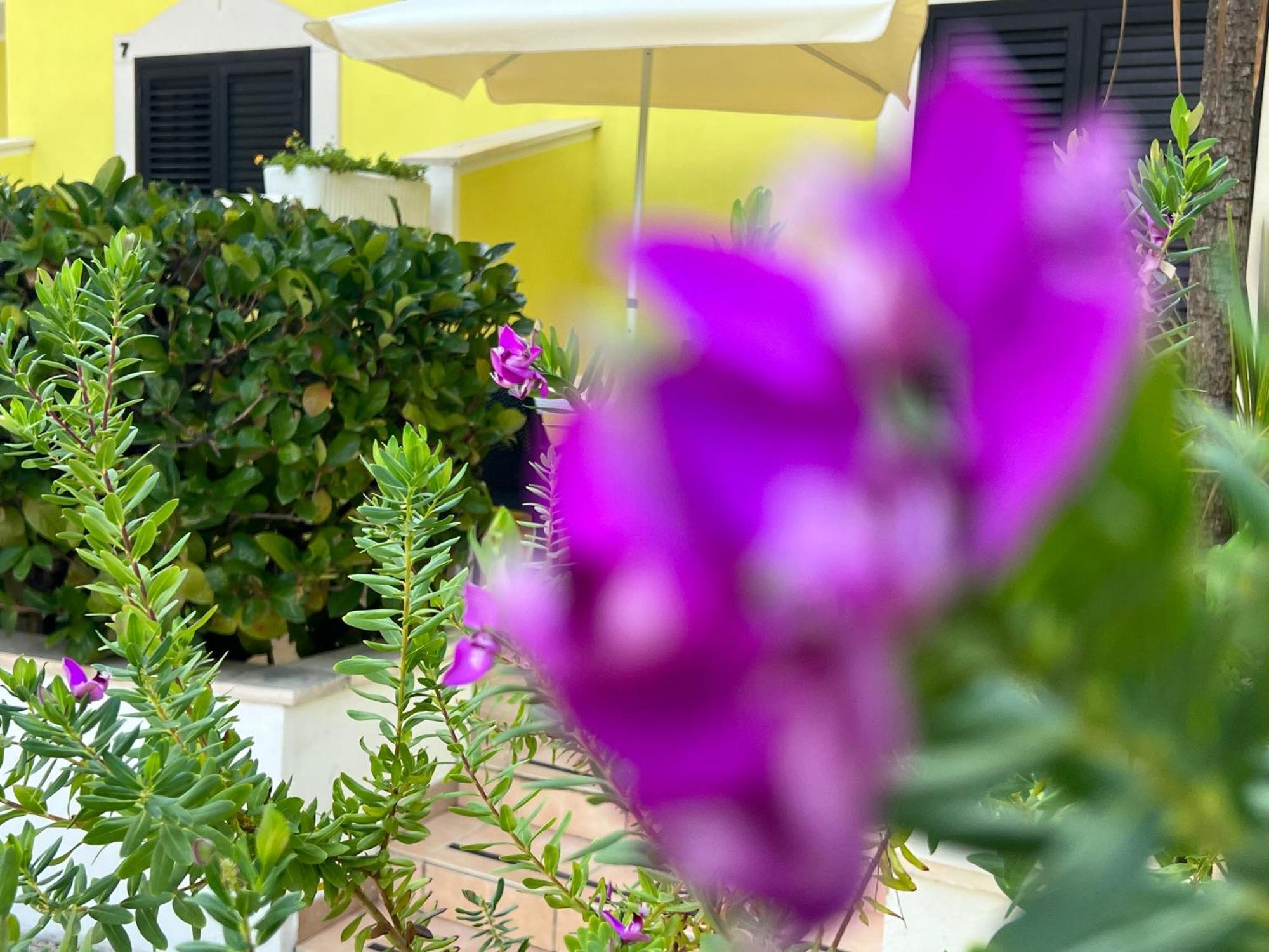 فيستَ Argeste Club Vacanze المظهر الخارجي الصورة